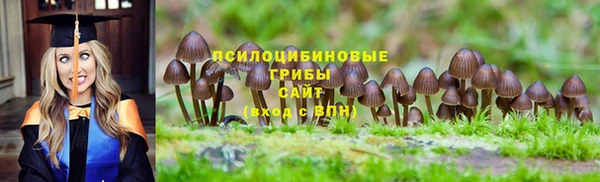 твердый Баксан