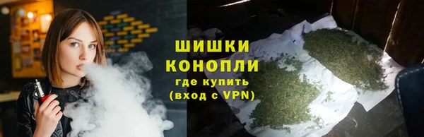 твердый Арсеньев
