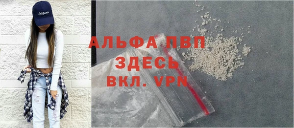 твердый Арсеньев