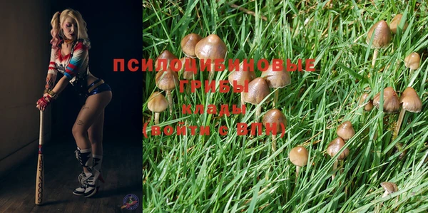 гашишное масло Россошь