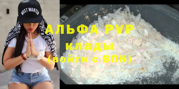 твердый Арсеньев